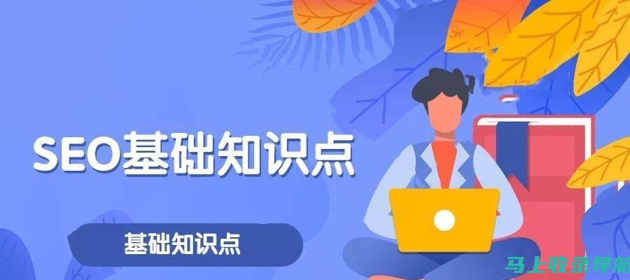 SEO入门教程：初学者如何快速掌握搜索引擎优化技巧与策略